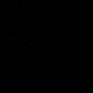 Meet your Posher, Henry